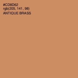 #CD8D62 - Antique Brass Color Image